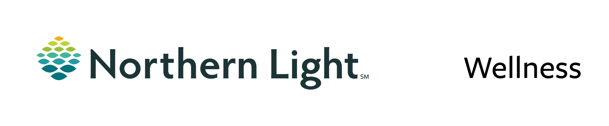 Northern Light Wellness Logo